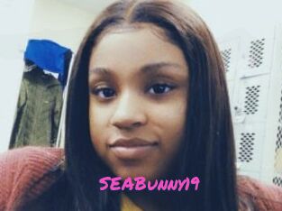 SEABunny19