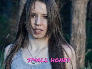 SMALL_HONEY