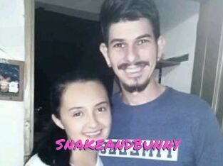 SNAKEANDBUNNY