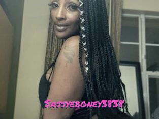 Sassyeboney3838