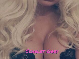 Scarlet_Grey