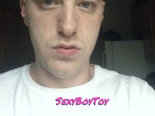 SexyBoyToy