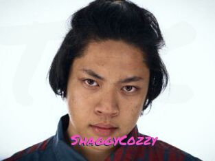 ShaggyCozzy