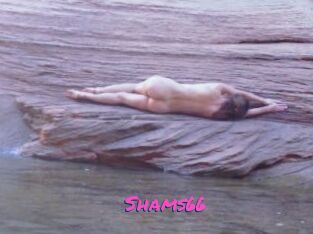 Shams66