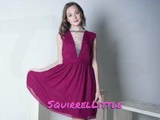 SquirrelLittle