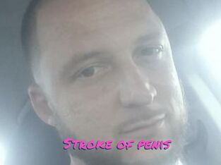 Stroke_of_penis