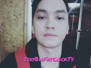 _SexyBigFatCockTs_