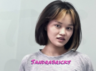 Sandrabricks
