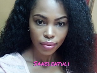 Sanelentuli