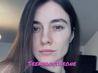 Seekeroftheone