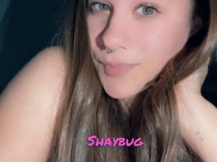 Shaybug