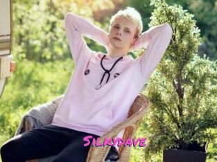 Silkydave