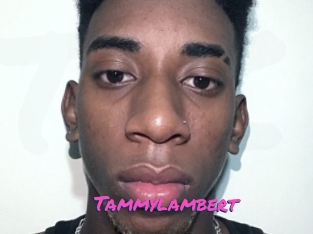 Tammylambert
