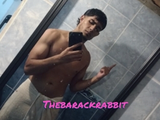 Thebarackrabbit