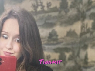 Tinamit