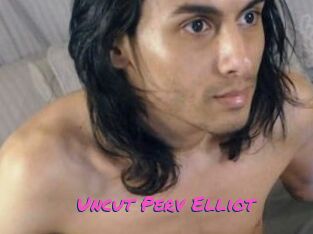 Uncut_Perv_Elliot