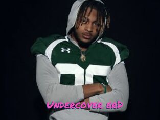 Undercover_erD