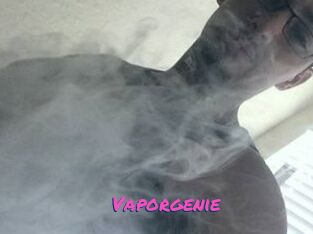 Vapor_genie