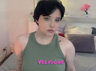 Velvdone