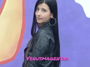 Venusmagentaa