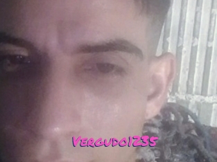 Vergudo1235