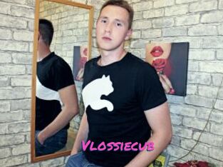 Vlossiecub