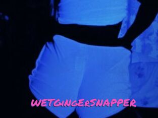WETGiNgErSNAPPER