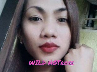 WILD_HOTrose