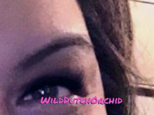 WildDutchOrchid