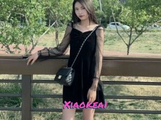 Xiaokea1