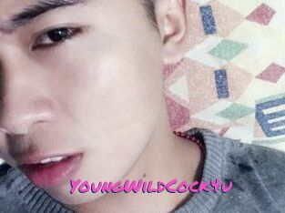 YoungWildCock4u