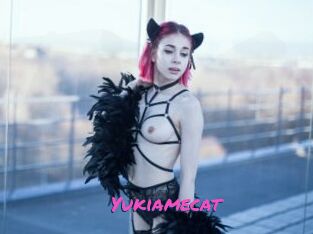 Yukiamecat