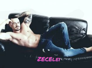 ZECElei