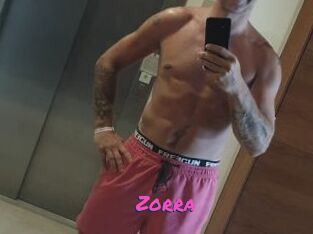 Zorra