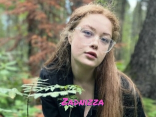 Zadnizza